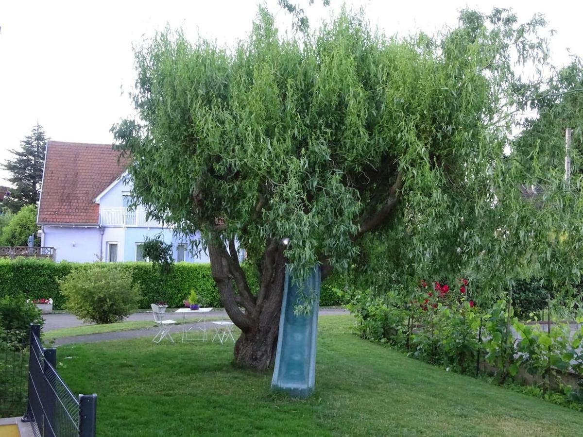 Tiny-House Βίλα Wihr-au-Val Εξωτερικό φωτογραφία